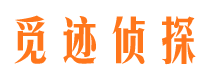 龙陵侦探公司